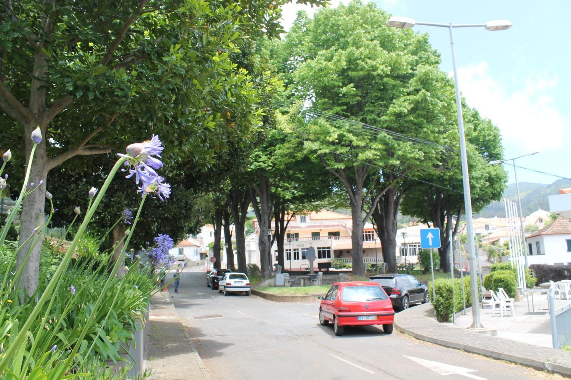 Ourmadeira - Seaview Apartment, Countryside Calheta  Exterior foto